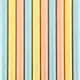 Summer Time Straws 10pk